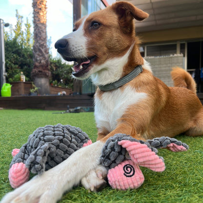 Burrito · juguete de perro de peluche