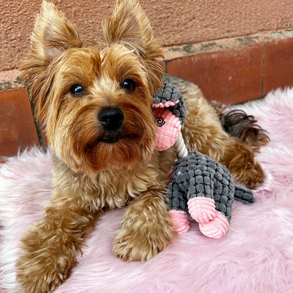 Todos los amigos · paquete de 8 juguetes para perros