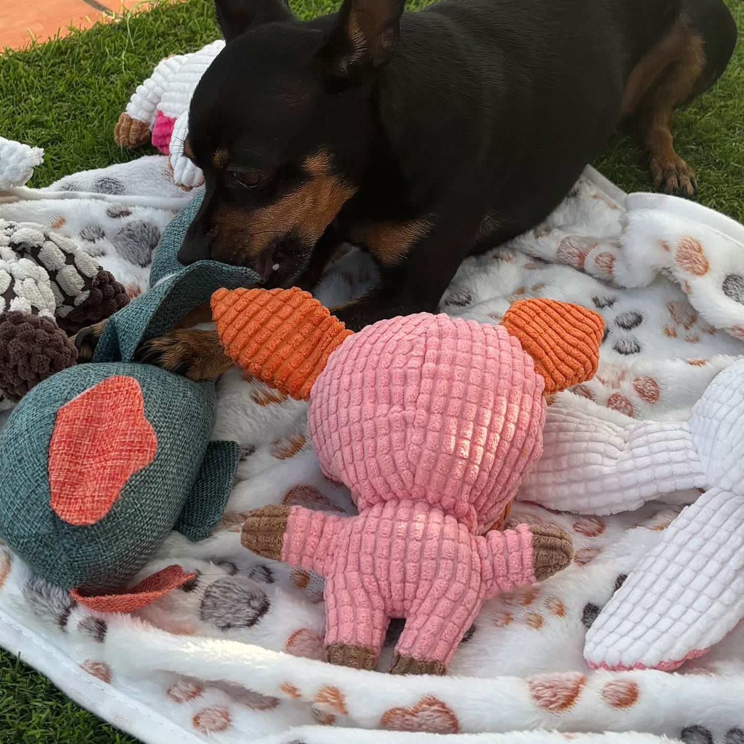 Pequeno porco