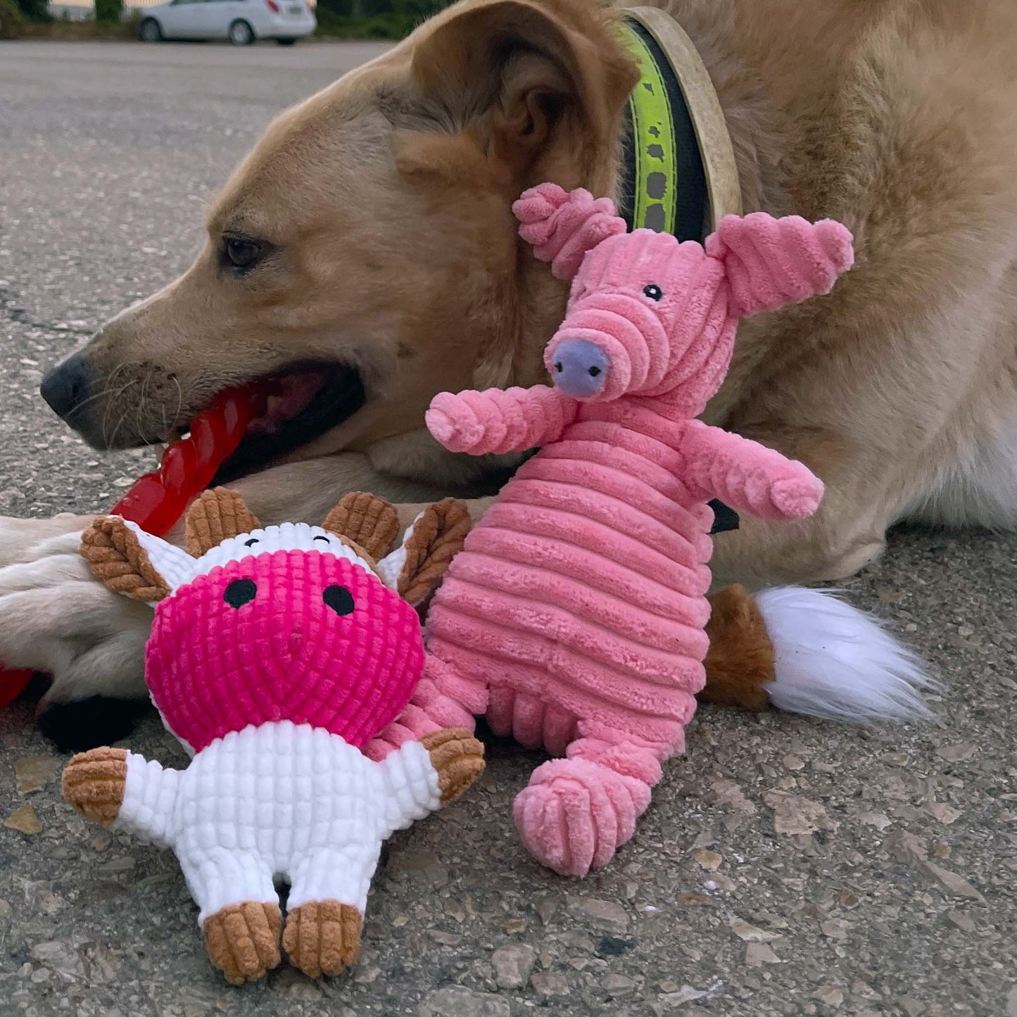 Mejores amigos animales · paquete de 15 juguetes para perros