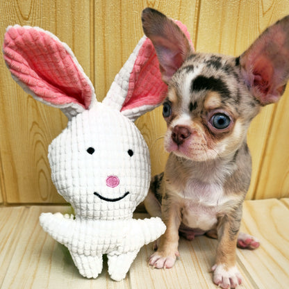 Conejo · juguete de perro de peluche