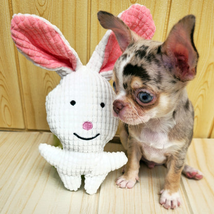 Conejo · juguete de perro de peluche