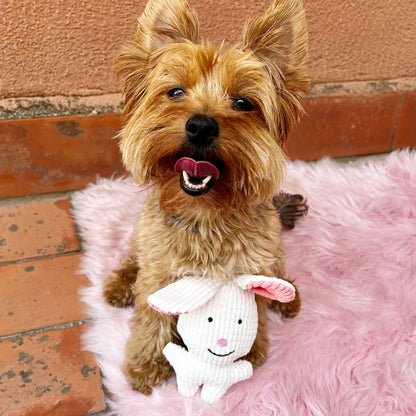 Conejo · juguete de perro de peluche