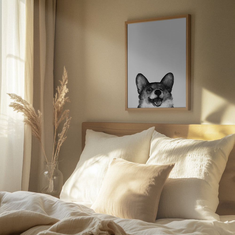 Perro Corgi con expresión alegre  ·  cuadro de decoración