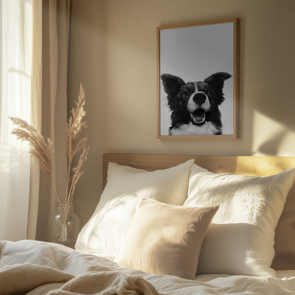 Mirada alegre de un perro  ·  cuadro de decoración