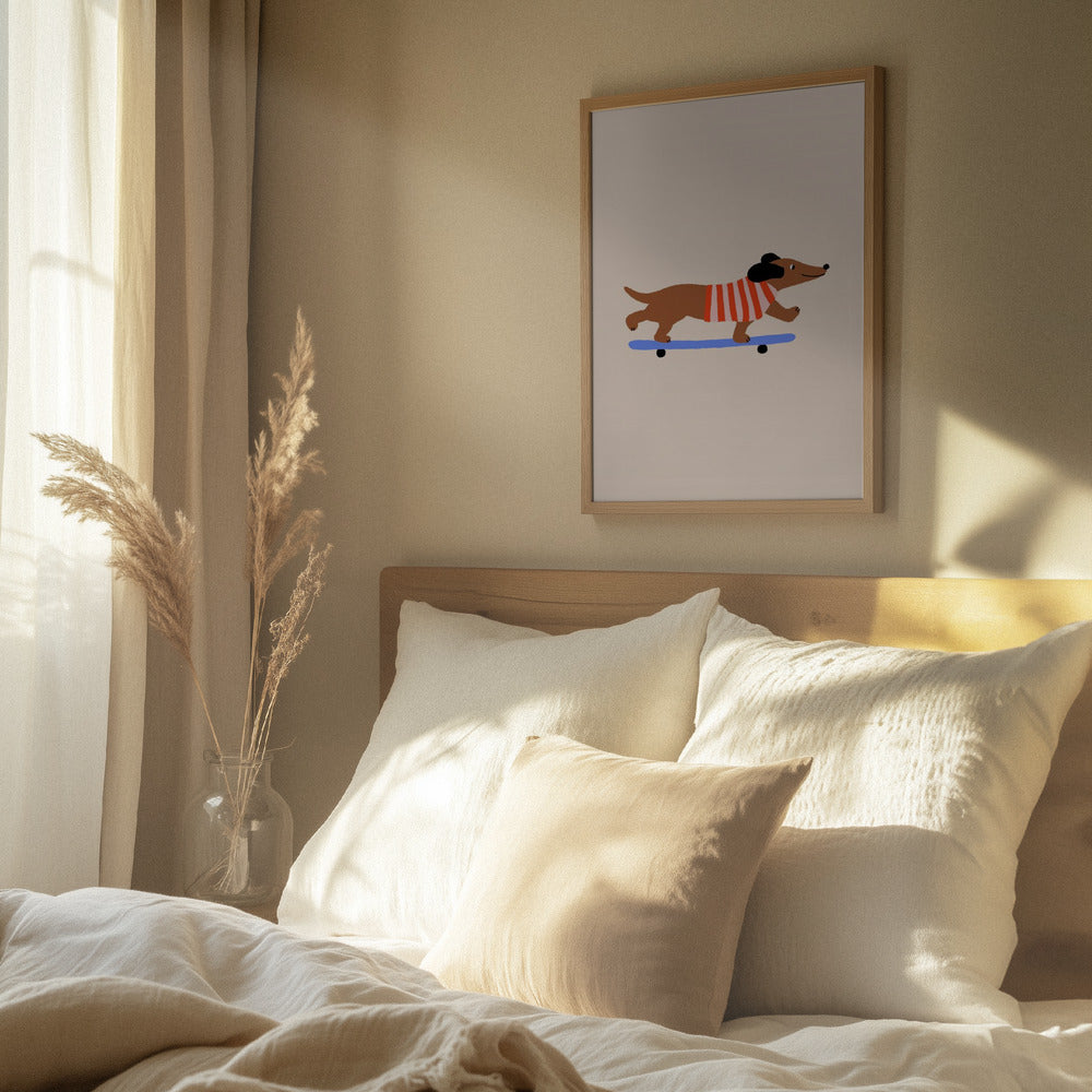 Dachshund en patineta ·  cuadro de decoración