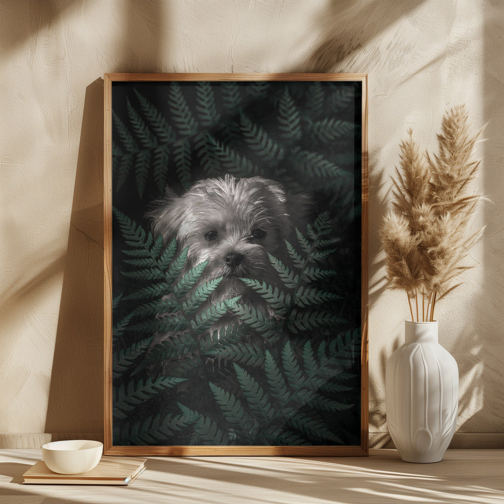 Cachorro entre los helechos  ·  cuadro de decoración