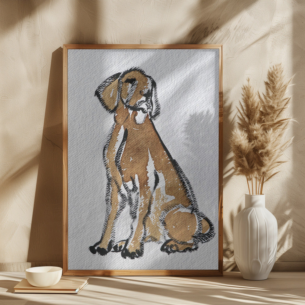 Perro 44  ·  cuadro de decoración
