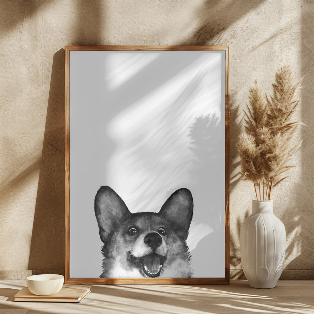 Perro Corgi con expresión alegre  ·  cuadro de decoración