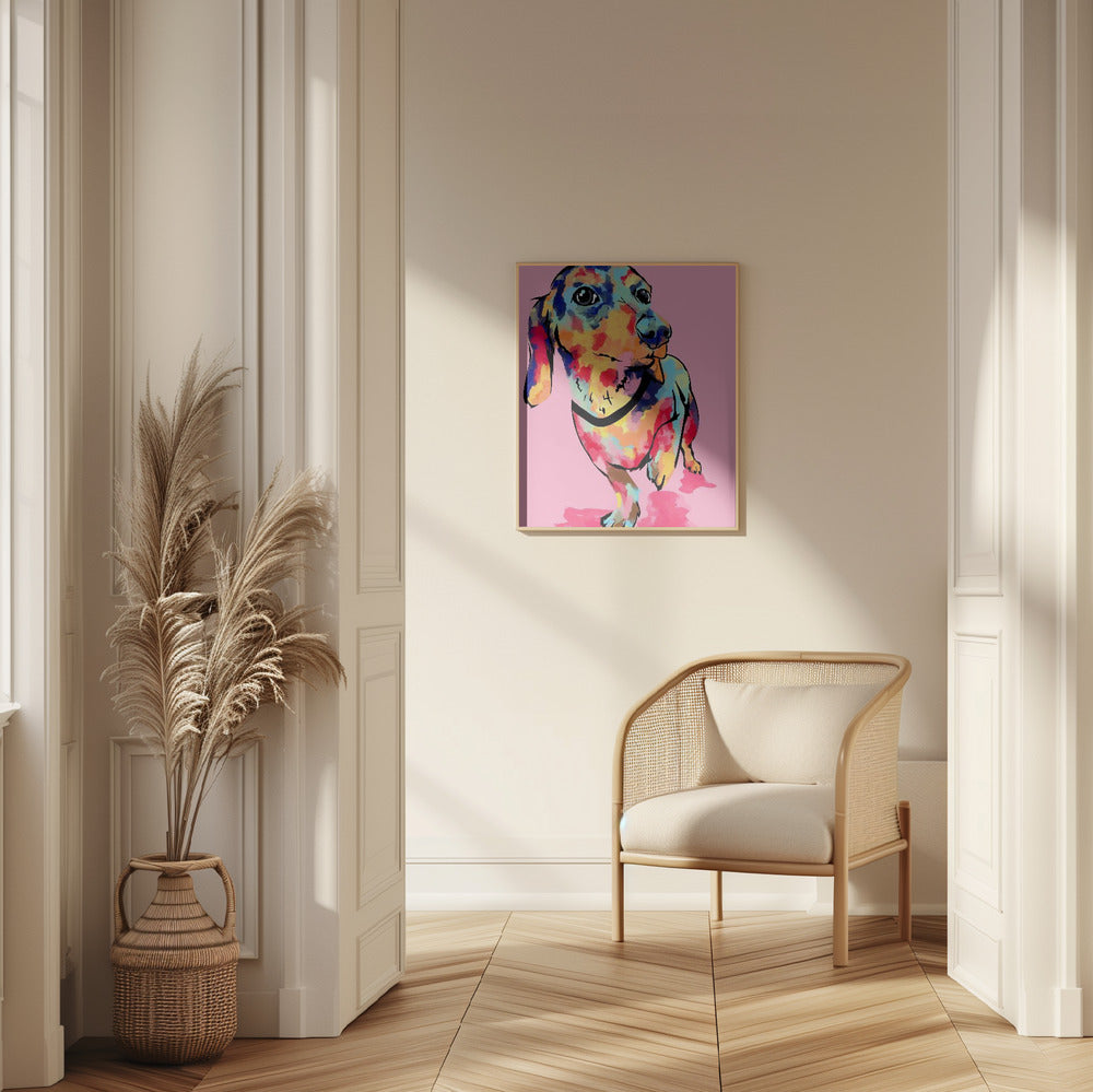 Perro salchicha multicolor  ·  cuadro de decoración