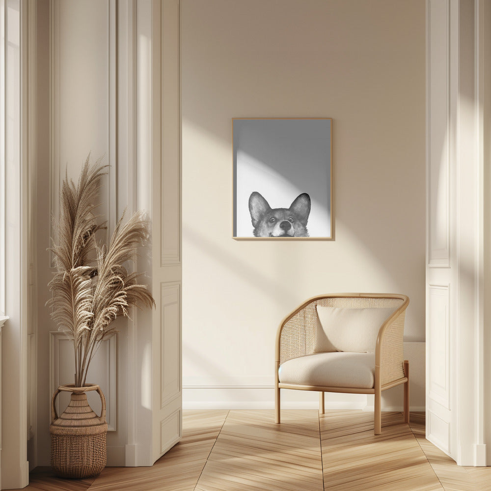 Perro Corgi con expresión alegre  ·  cuadro de decoración