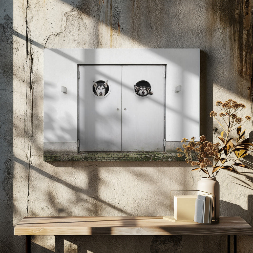 ¿Dónde está la salida?  ·  cuadro de decoración