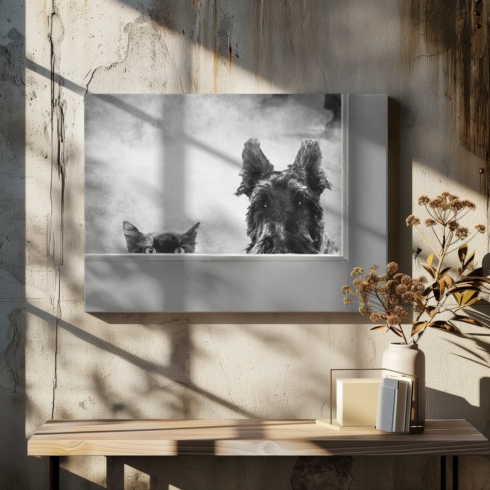 El puerta trasera  ·  cuadro de decoración
