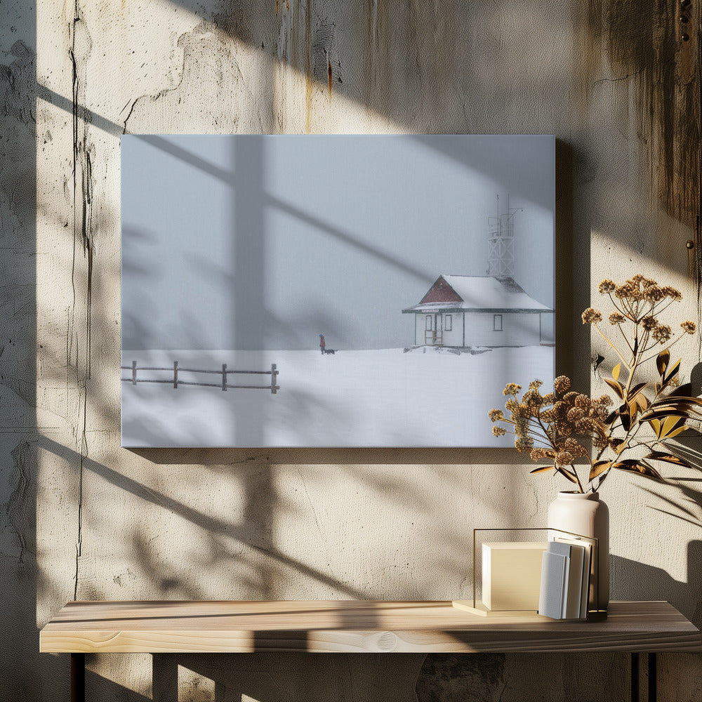 Paseando al perro por la playa con nieve  ·  cuadro de decoración