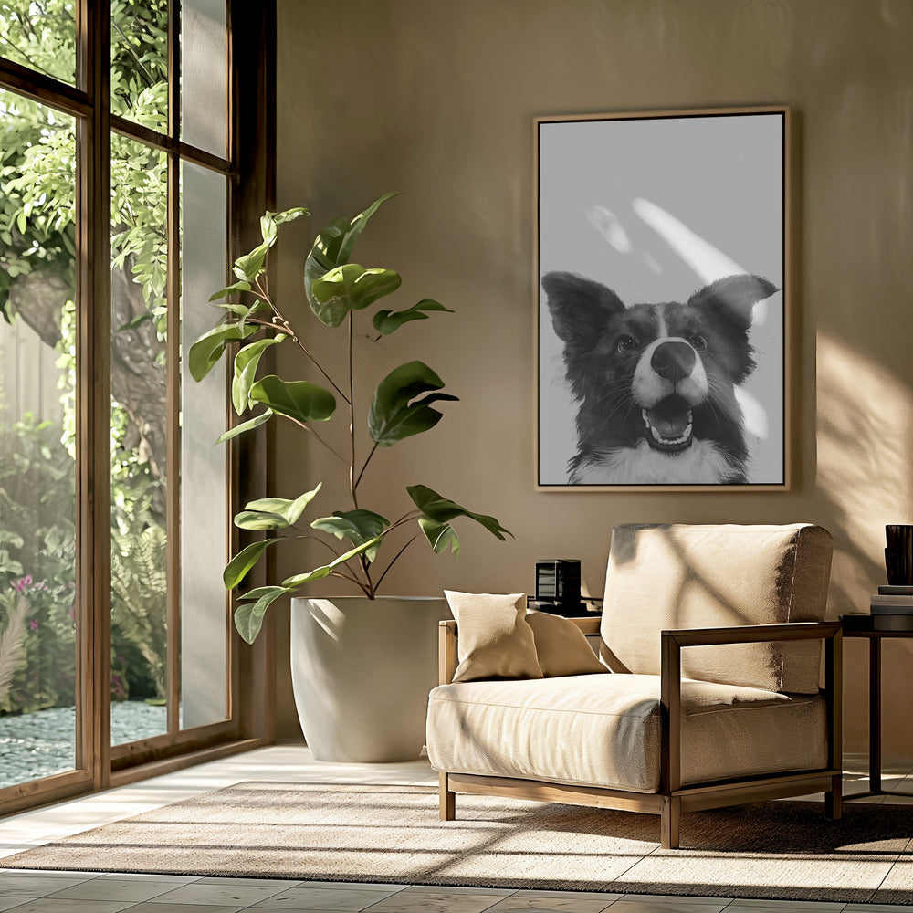 Mirada alegre de un perro  ·  cuadro de decoración