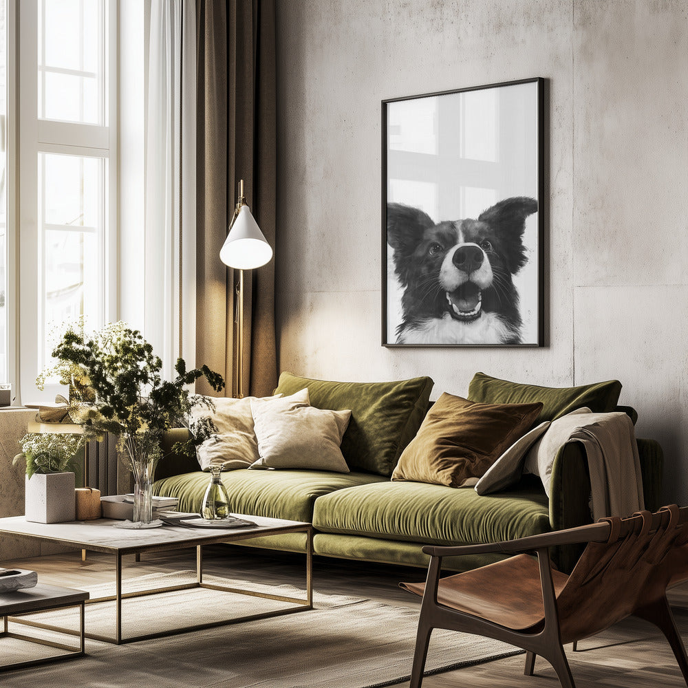 Mirada alegre de un perro  ·  cuadro de decoración