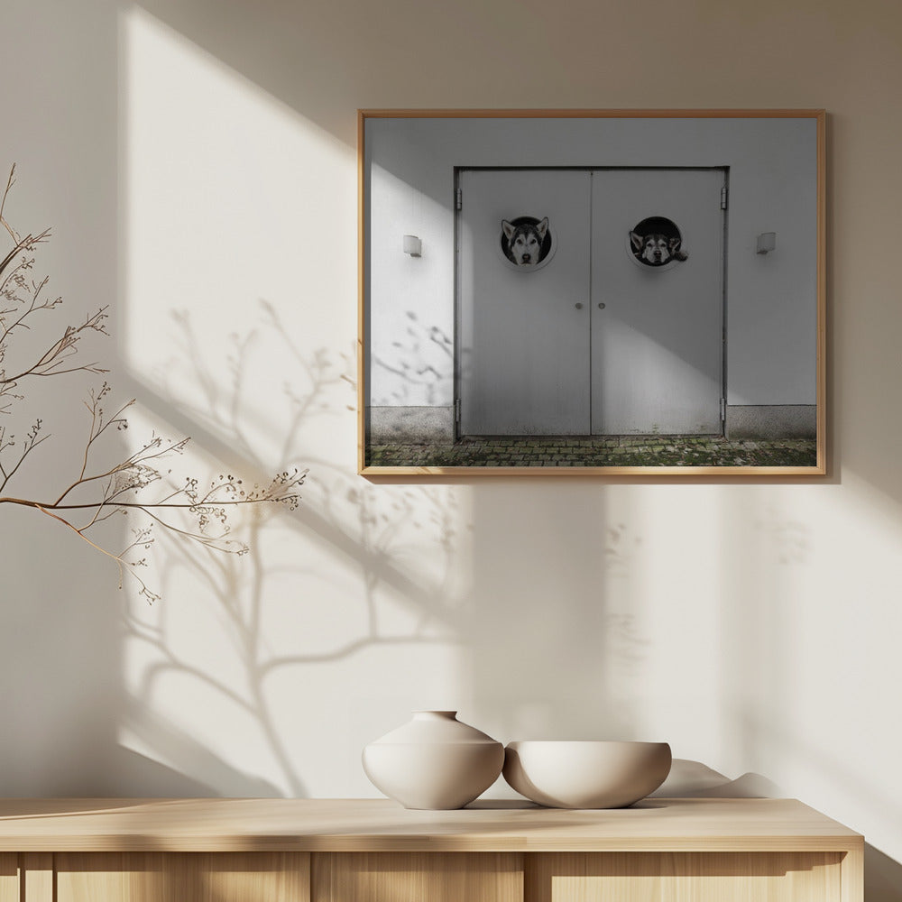 ¿Dónde está la salida?  ·  cuadro de decoración