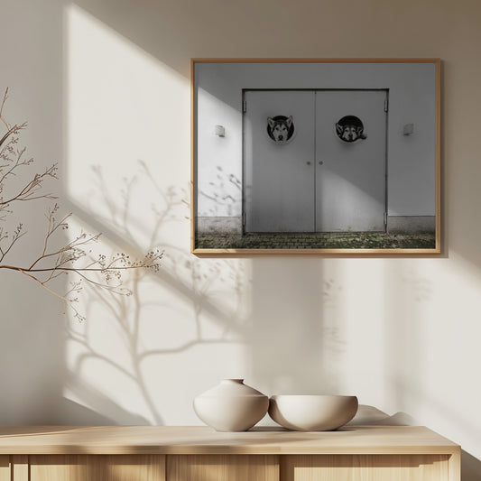 ¿Dónde está la salida?  ·  cuadro de decoración