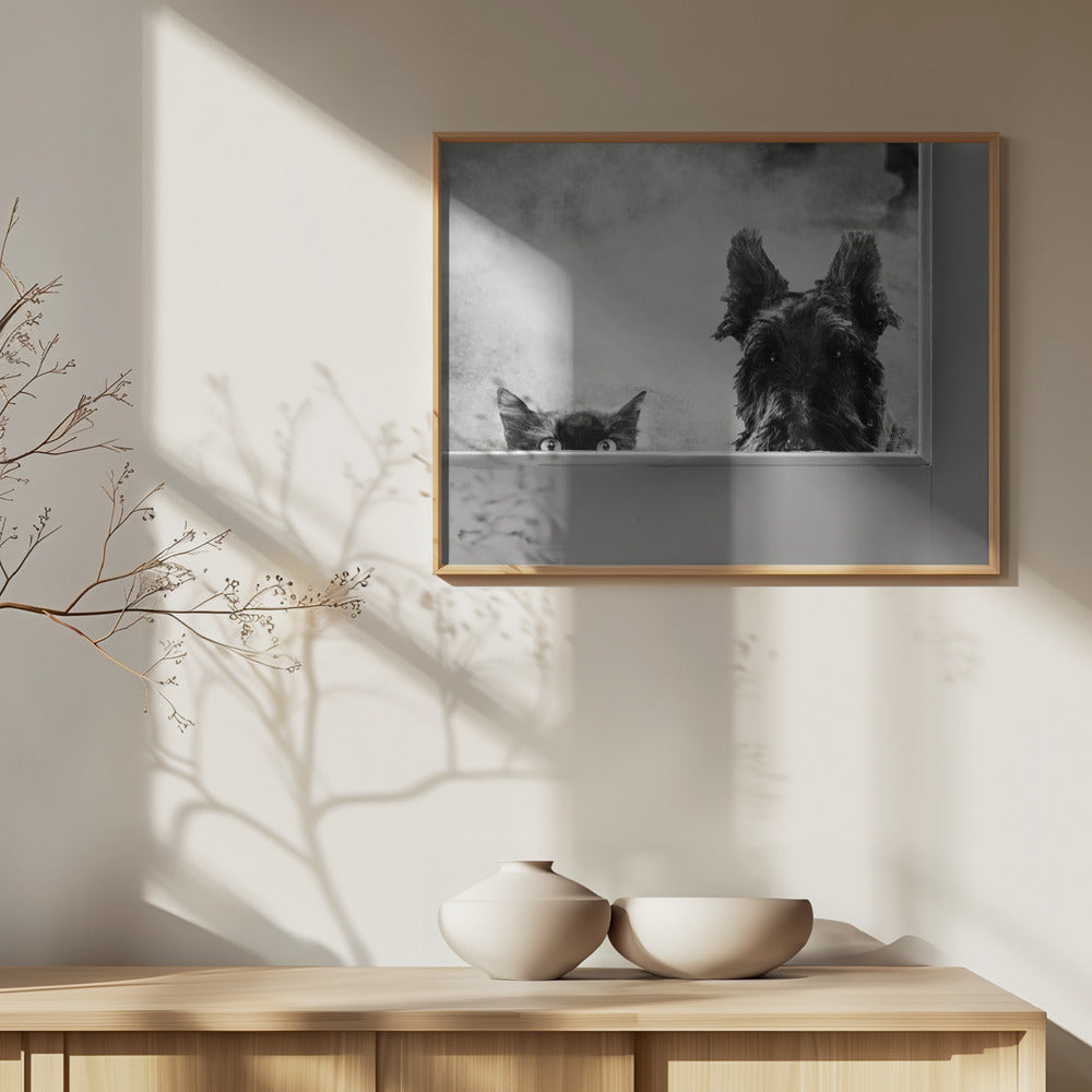 El puerta trasera  ·  cuadro de decoración