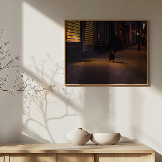 La noche es joven  ·  cuadro de decoración