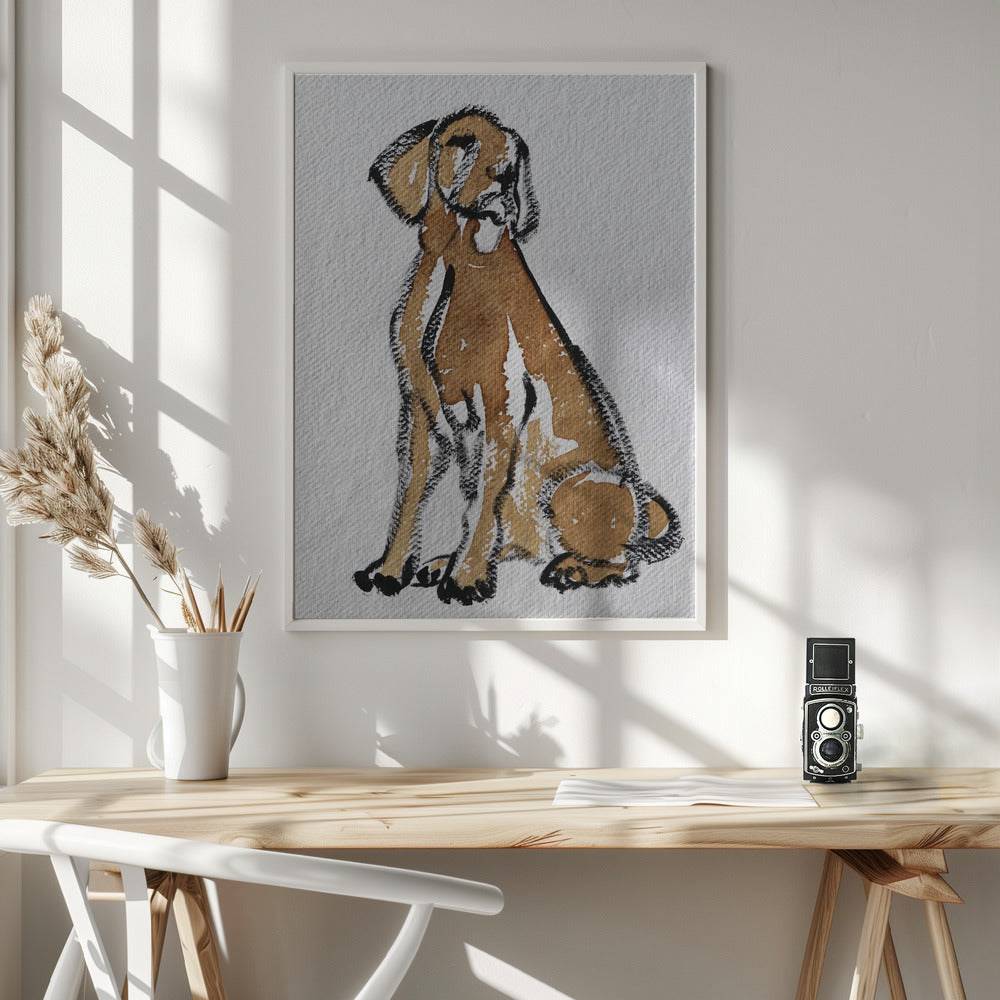 Perro 44  ·  cuadro de decoración