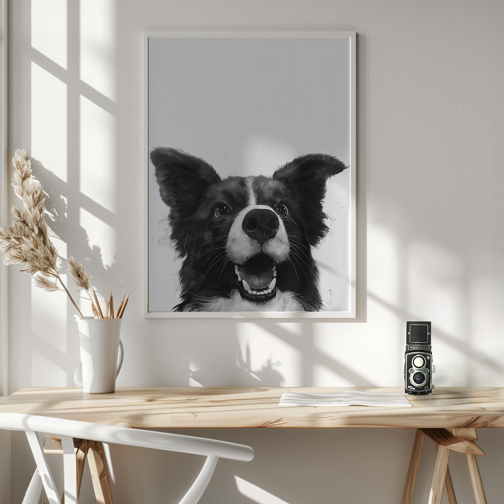 Mirada alegre de un perro  ·  cuadro de decoración