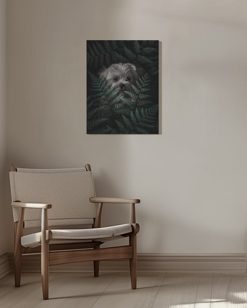 Cachorro entre los helechos  ·  cuadro de decoración