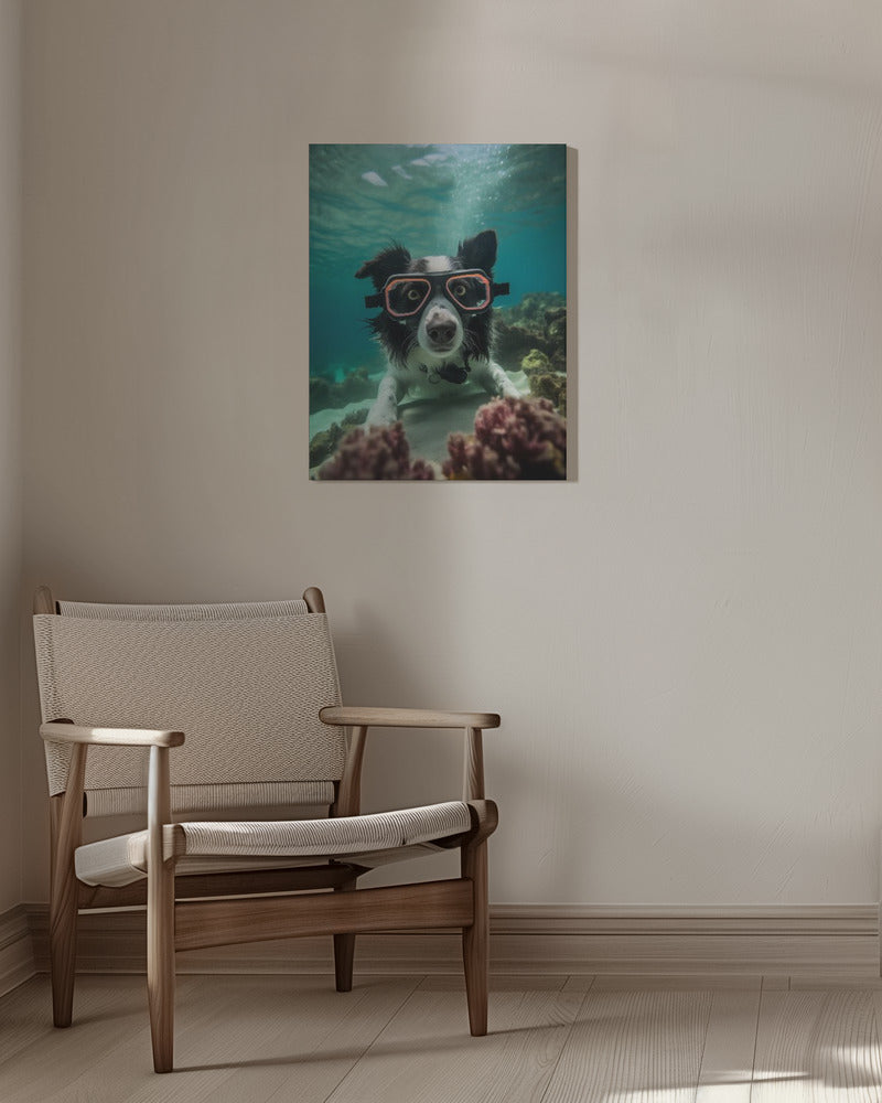 Inmersión 3 del Border Collie  ·  cuadro de decoración