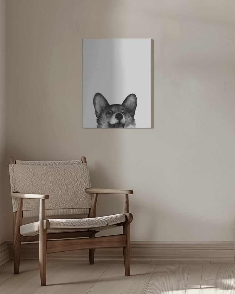 Perro Corgi con expresión alegre  ·  cuadro de decoración