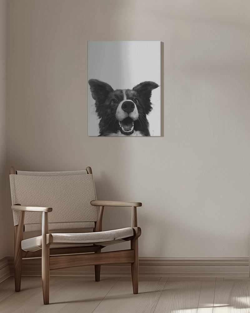 Mirada alegre de un perro  ·  cuadro de decoración