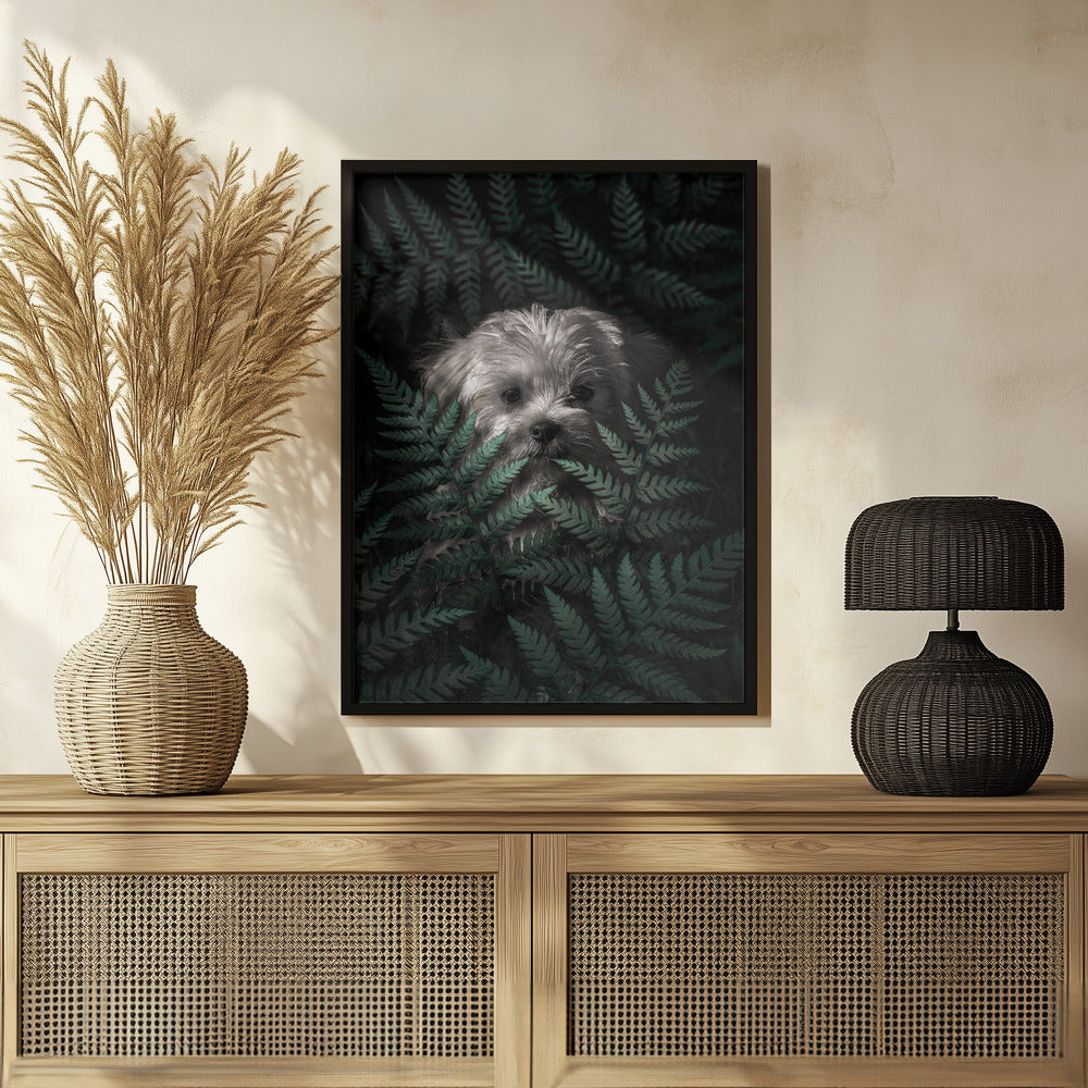 Cachorro entre los helechos  ·  cuadro de decoración