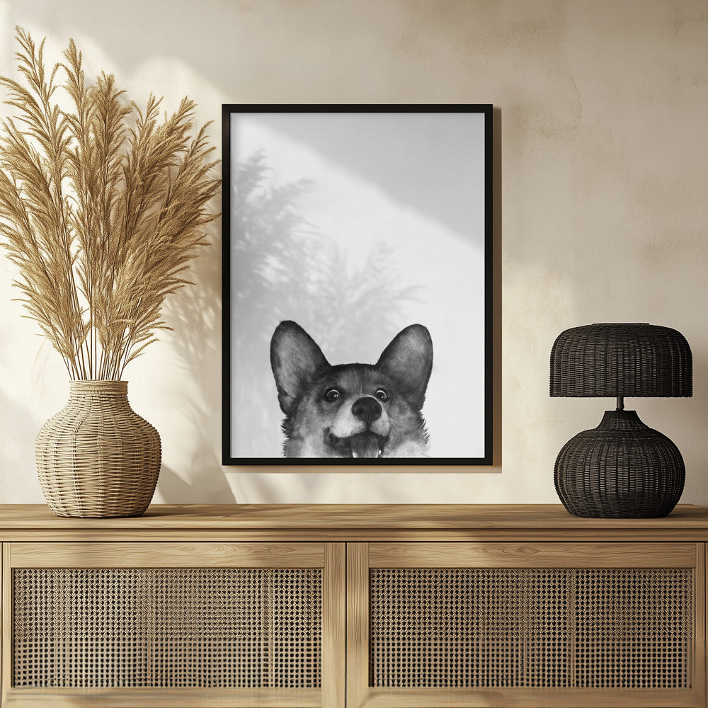 Perro Corgi con expresión alegre  ·  cuadro de decoración