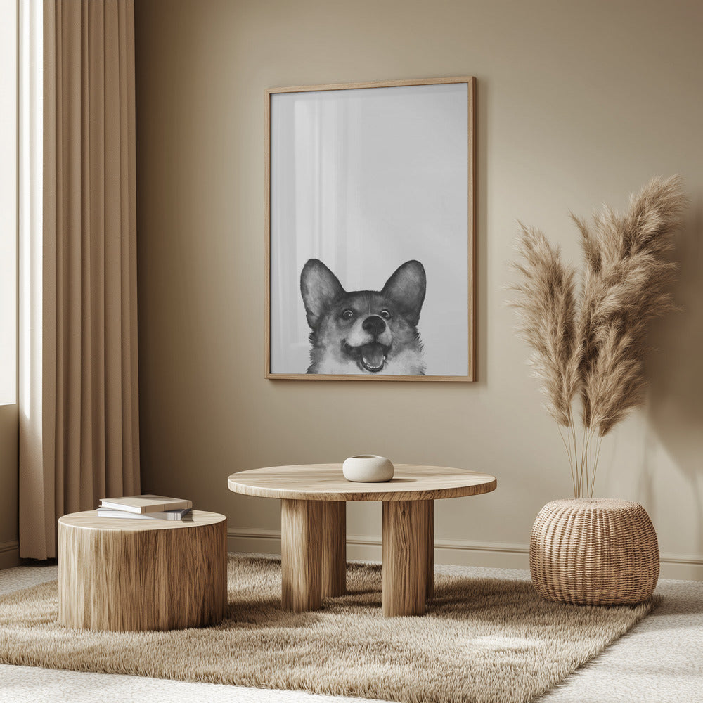 Perro Corgi con expresión alegre  ·  cuadro de decoración