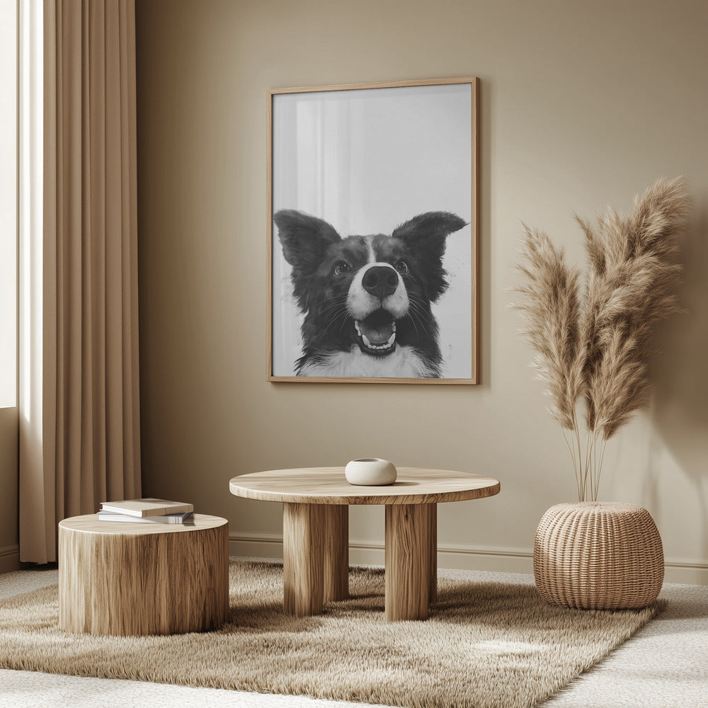 Mirada alegre de un perro  ·  cuadro de decoración
