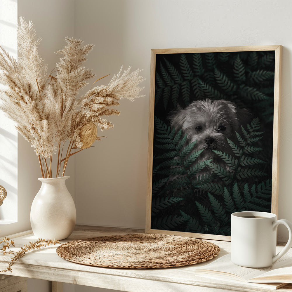 Cachorro entre los helechos  ·  cuadro de decoración