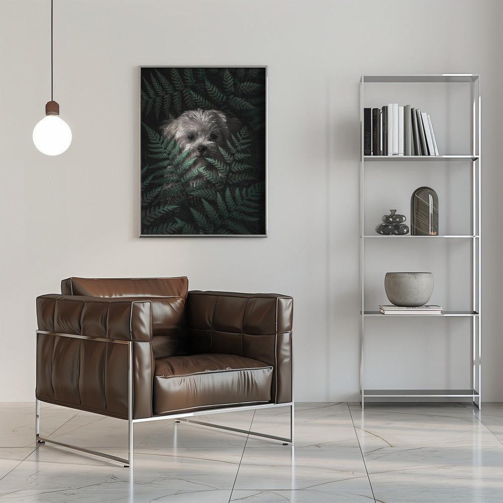 Cachorro entre los helechos  ·  cuadro de decoración