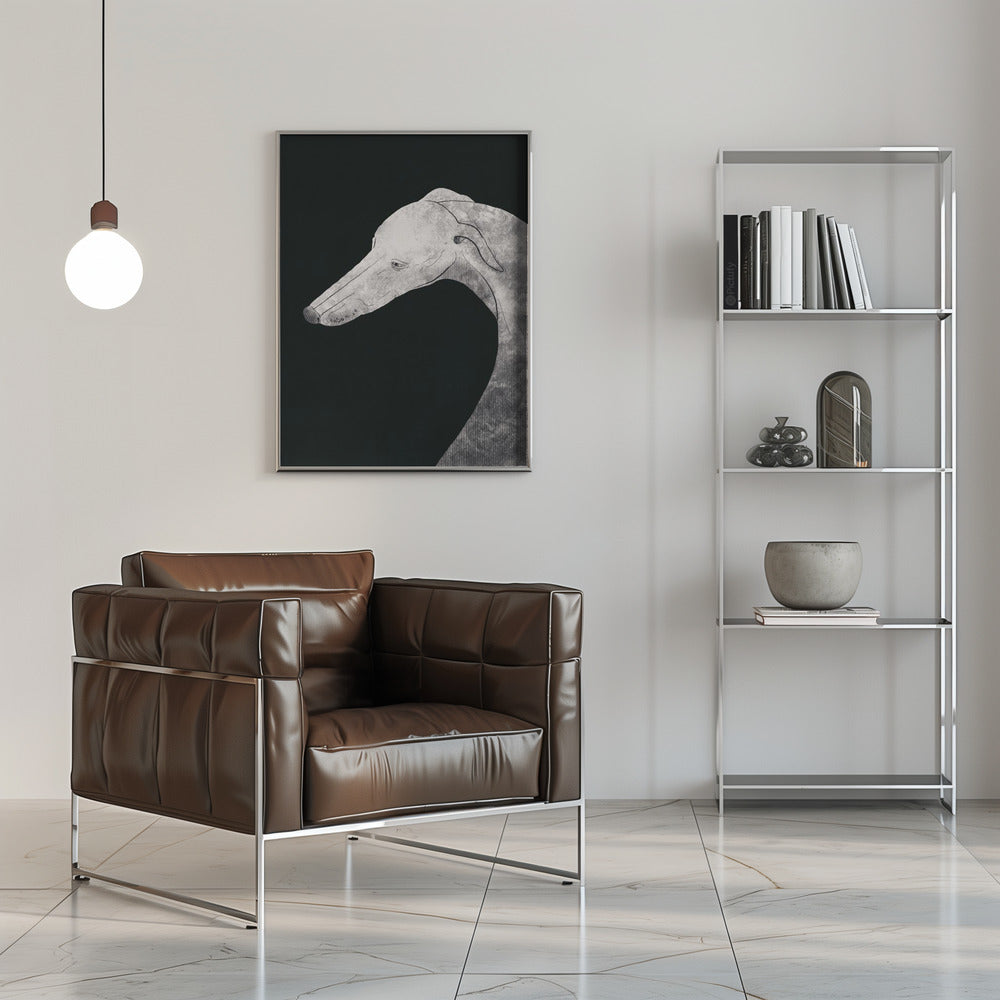 Perro galgo blanco y negro 02  ·  cuadro de decoración