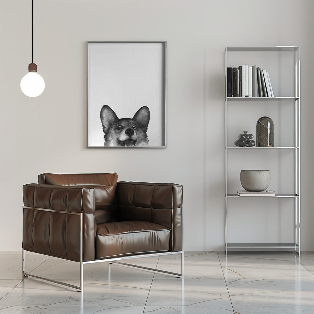 Perro Corgi con expresión alegre  ·  cuadro de decoración