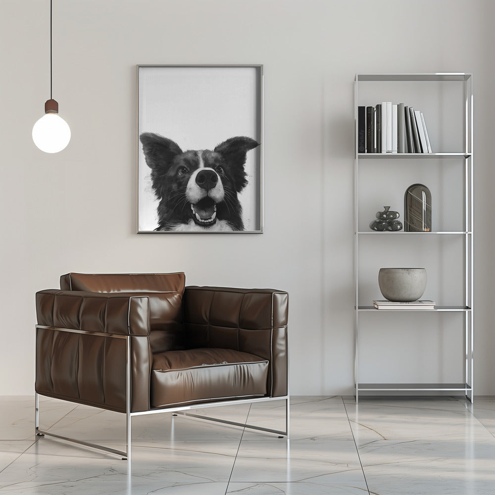 Mirada alegre de un perro  ·  cuadro de decoración
