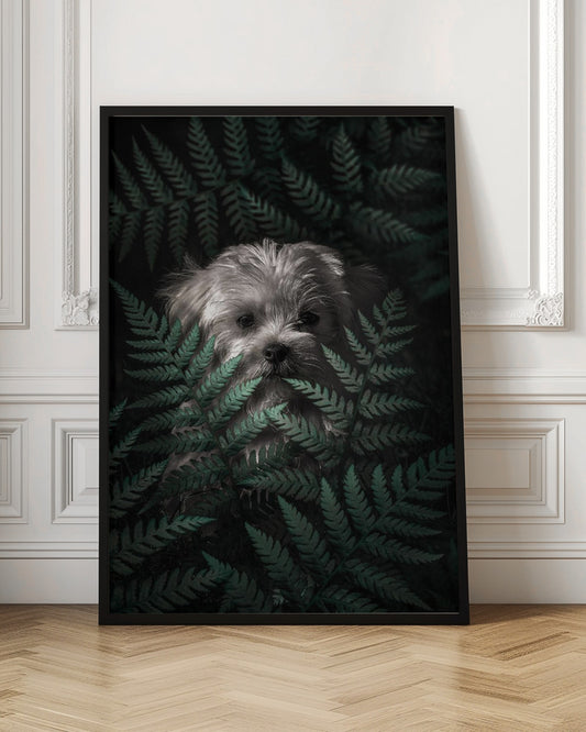 Cachorro entre los helechos  ·  cuadro de decoración