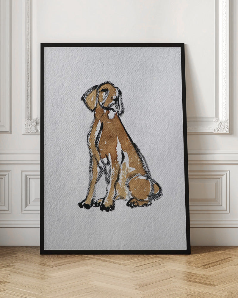 Perro 44  ·  cuadro de decoración