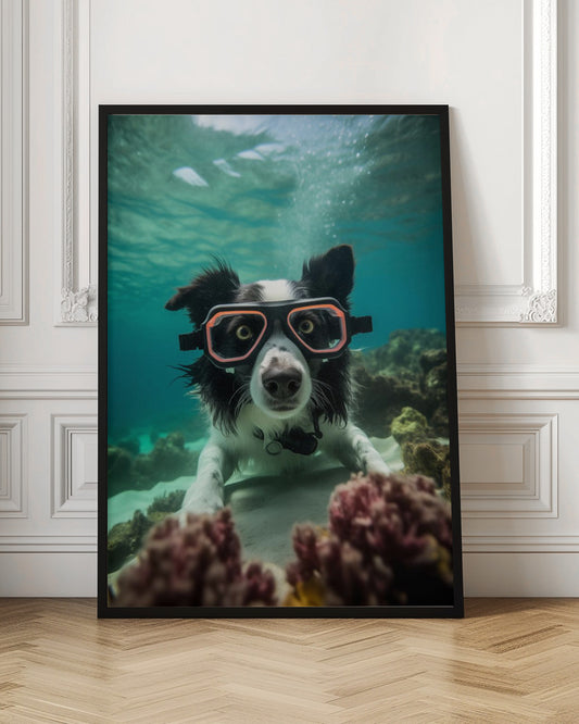 Inmersión 3 del Border Collie  ·  cuadro de decoración