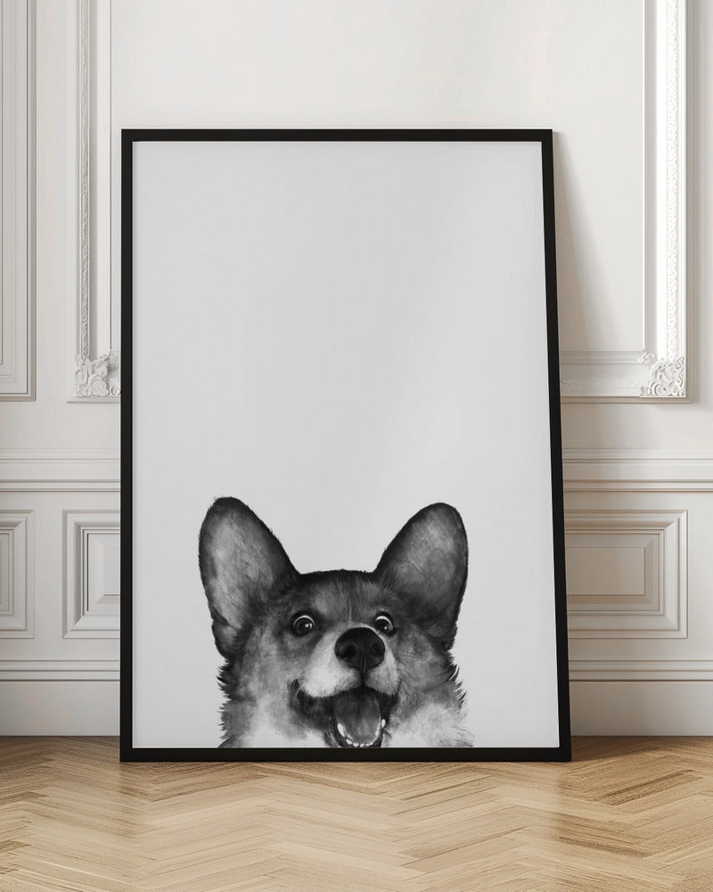 Perro Corgi con expresión alegre  ·  cuadro de decoración