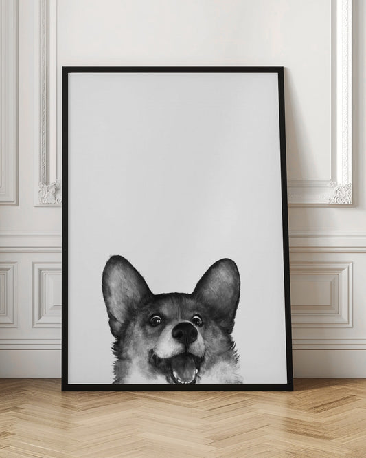 Perro Corgi con expresión alegre  ·  cuadro de decoración