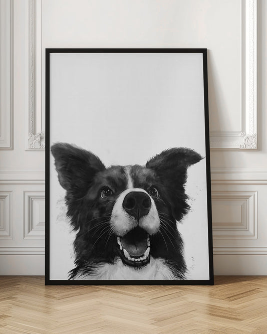 Mirada alegre de un perro  ·  cuadro de decoración