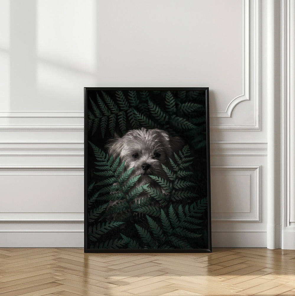 Cachorro entre los helechos  ·  cuadro de decoración