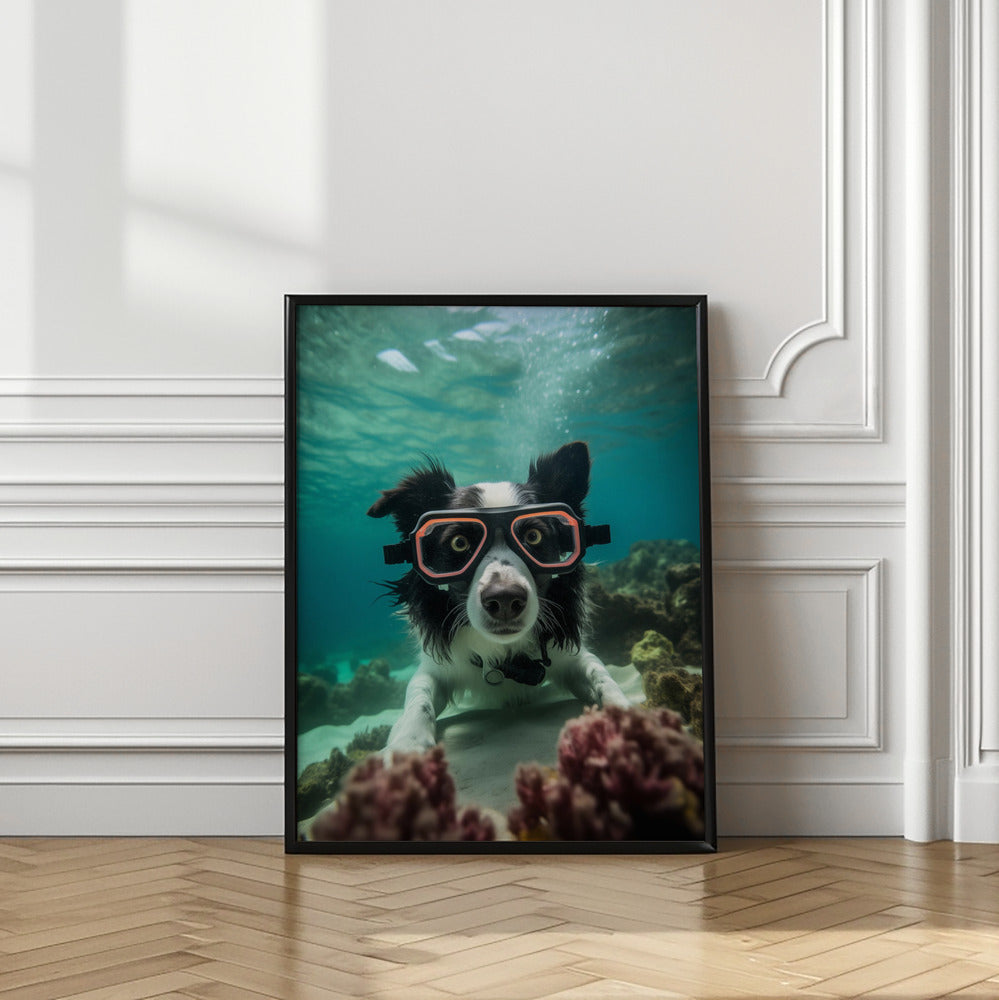Inmersión 3 del Border Collie  ·  cuadro de decoración