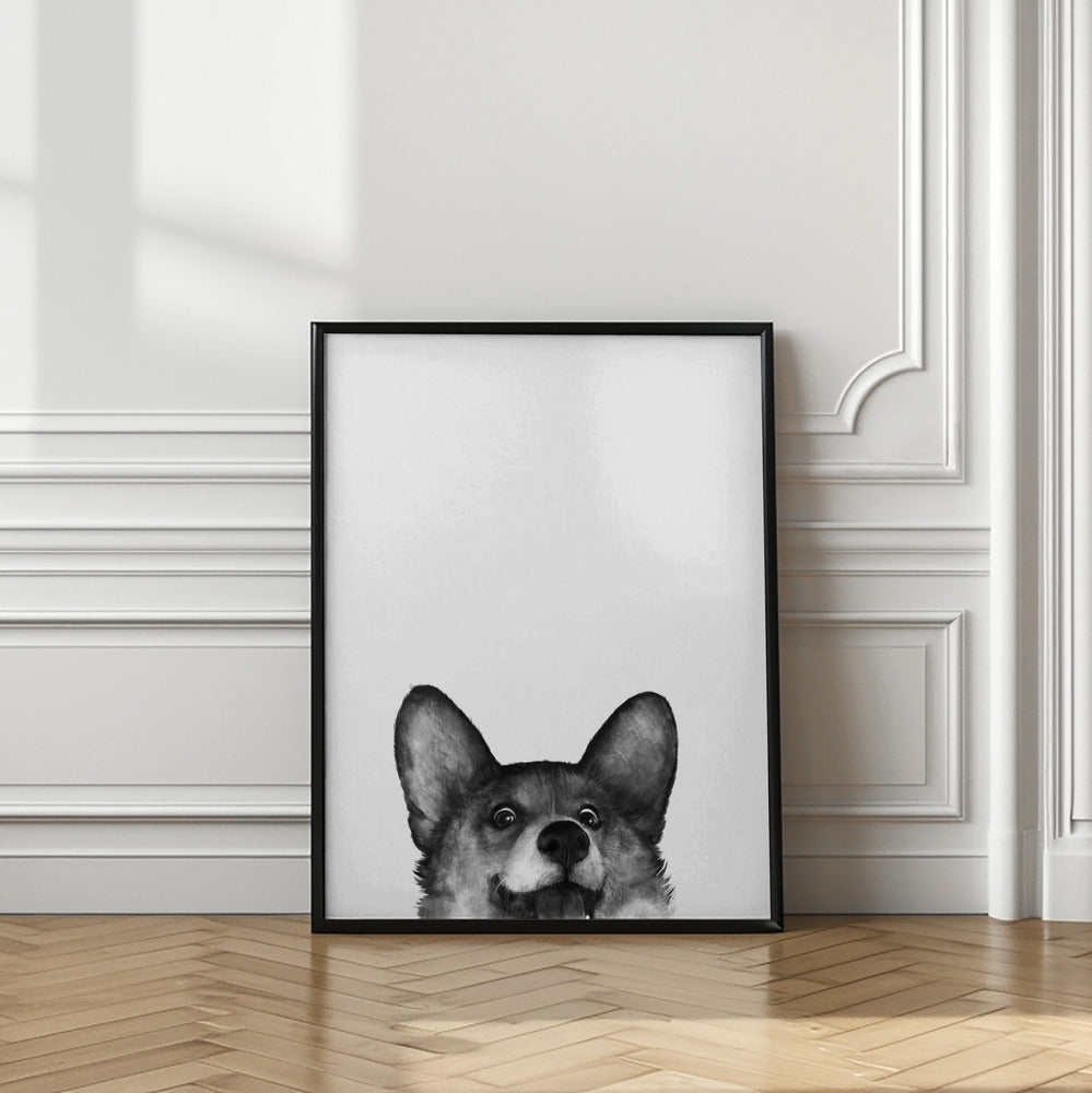 Perro Corgi con expresión alegre  ·  cuadro de decoración