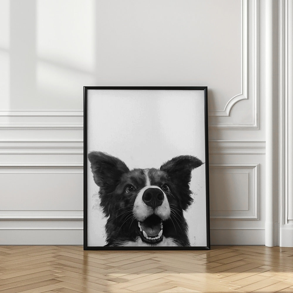 Mirada alegre de un perro  ·  cuadro de decoración