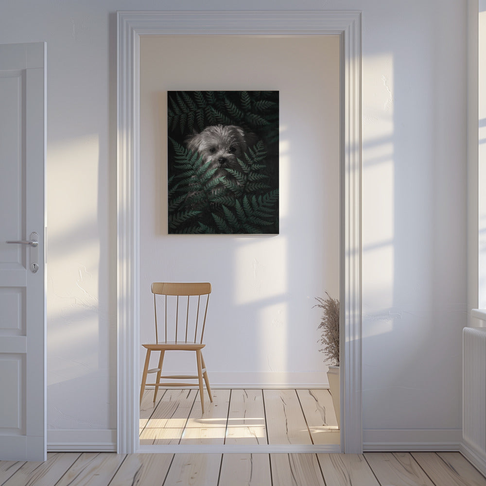 Cachorro entre los helechos  ·  cuadro de decoración